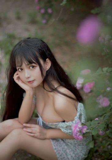 樱花网