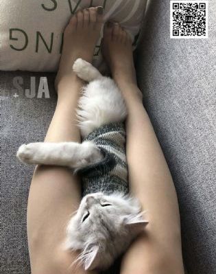 聊斋覃艳后续