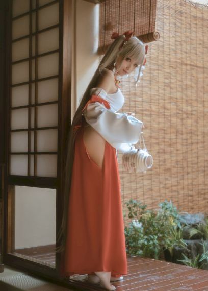双子神偷