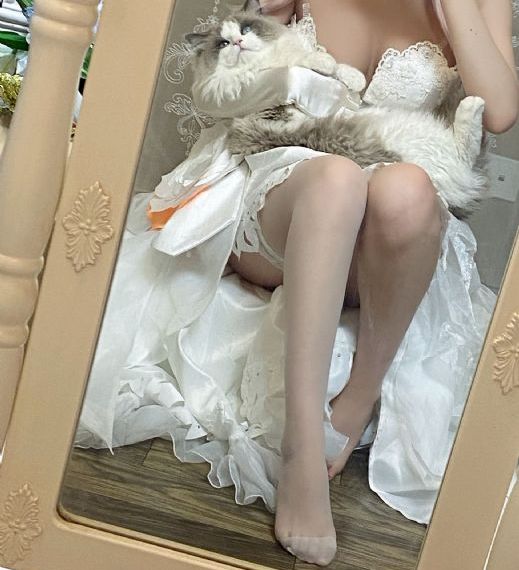 华丽的外出在线