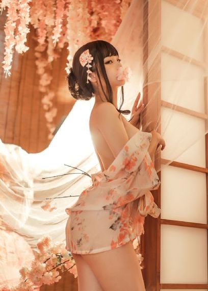细狗网页版免费登录入口