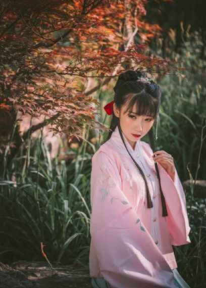 银翼的魔术师免费观看日文版