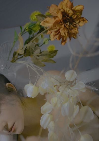 我对侄女出手的理由