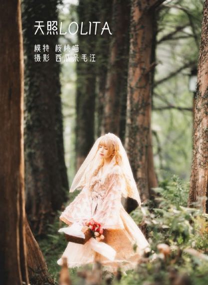 最强大脑第九季