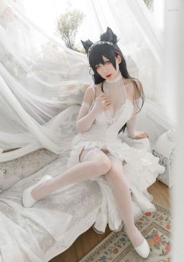 沉默电视剧25集连播免费观看