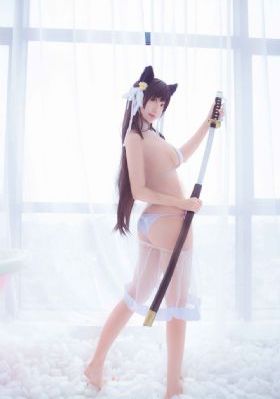 潜入搜查官绝不认输