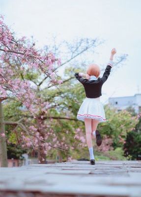 封神榜86版电视剧免费